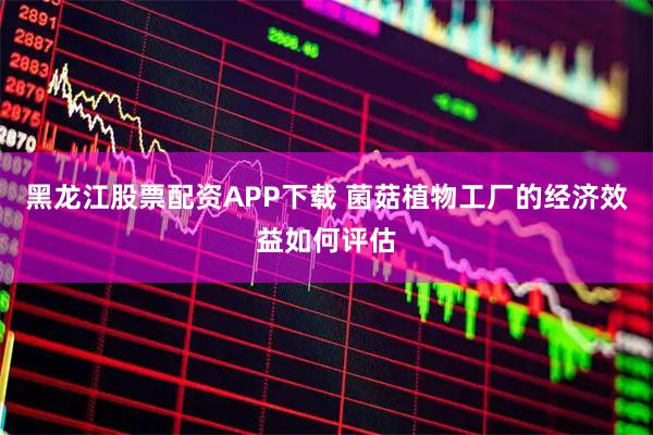 黑龙江股票配资APP下载 菌菇植物工厂的经济效益如何评估