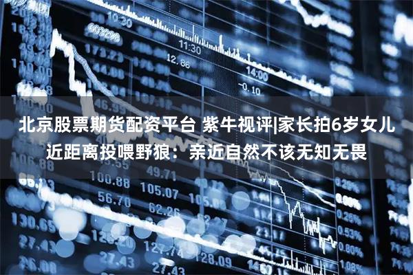 北京股票期货配资平台 紫牛视评|家长拍6岁女儿近距离投喂野狼：亲近自然不该无知无畏